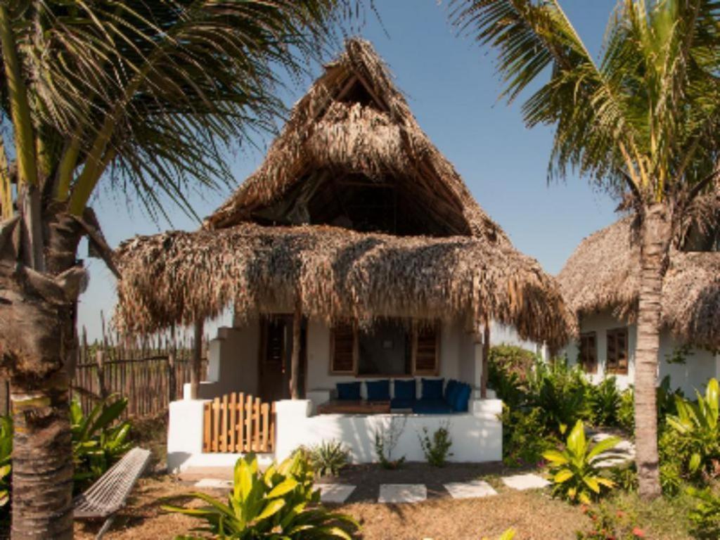 Paredon Surf House Hotel El Paredón Buena Vista Kamer foto